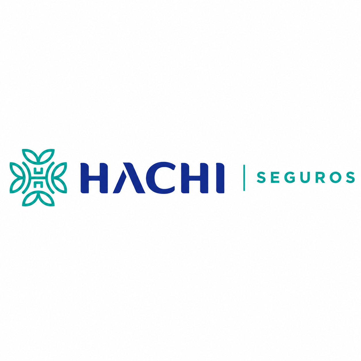 HACHI SEGUROS