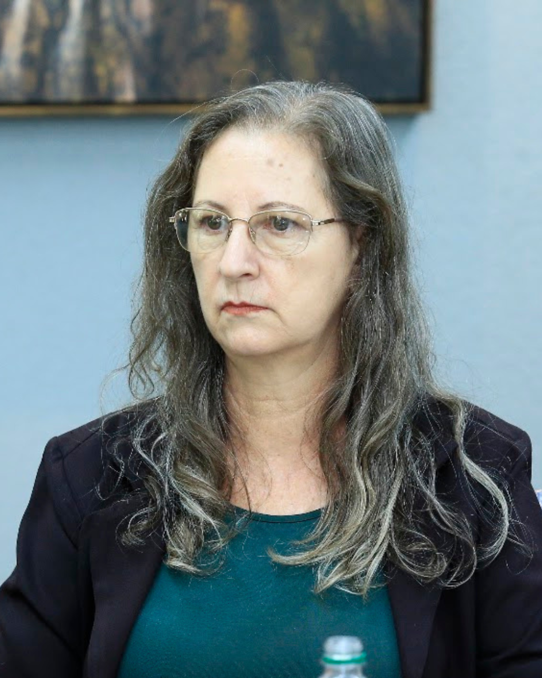 Roseilde Maria Braga